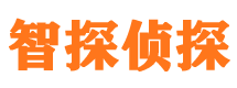 那曲市婚外情调查